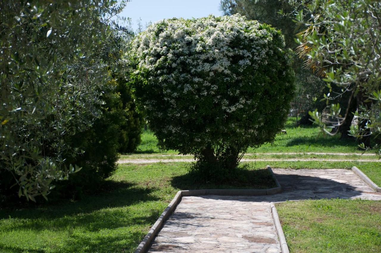 Sanja Apartments Sveti Servul Novigrad Istria Eksteriør bilde